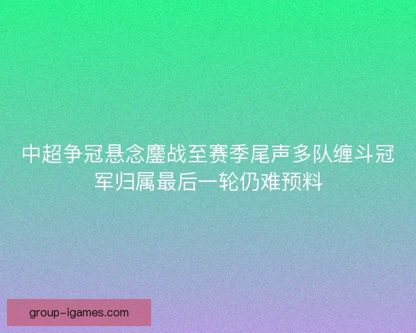 中超争冠悬念鏖战至赛季尾声多队缠斗冠军归属最后一轮仍难预料